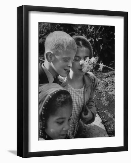 Blind School Children During an Outing in Brooklyn Botanical Gardens of Fragrance-Lisa Larsen-Framed Photographic Print