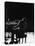 Blind Singer and Jazz Pianist Ray Charles Performing in Concert at Carnegie Hall-Bill Ray-Stretched Canvas