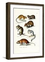 Blindmole, 1824-Karl Joseph Brodtmann-Framed Giclee Print