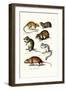 Blindmole, 1824-Karl Joseph Brodtmann-Framed Giclee Print