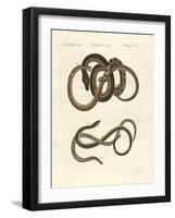 Blindworms-null-Framed Giclee Print