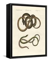 Blindworms-null-Framed Stretched Canvas