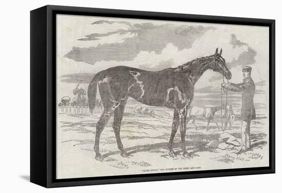 Blink Bonny, the Winner of the Derby and Oaks-Harry Hall-Framed Stretched Canvas