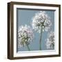 Bliss I-Assaf Frank-Framed Giclee Print