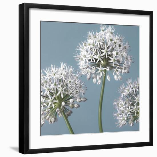 Bliss I-Assaf Frank-Framed Giclee Print