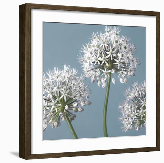 Bliss I-Assaf Frank-Framed Giclee Print