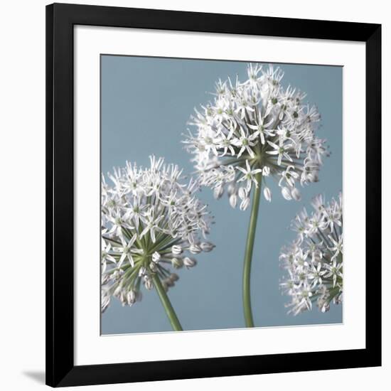 Bliss I-Assaf Frank-Framed Giclee Print