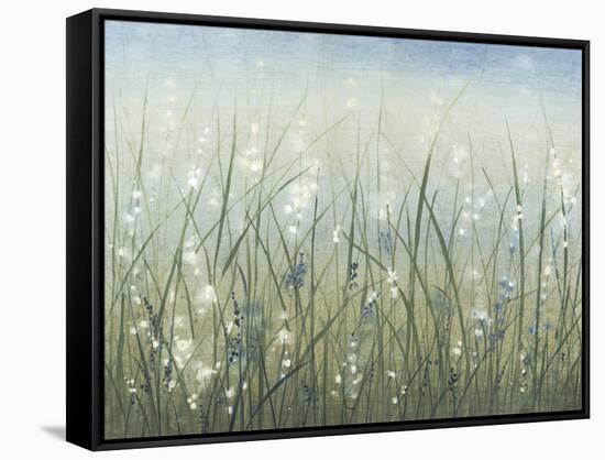 Bliss I-Tim O'toole-Framed Stretched Canvas