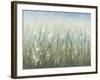 Bliss I-Tim O'toole-Framed Art Print