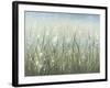 Bliss I-Tim O'toole-Framed Art Print