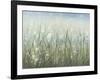 Bliss I-Tim O'toole-Framed Art Print