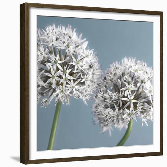 Bliss II-Assaf Frank-Framed Giclee Print