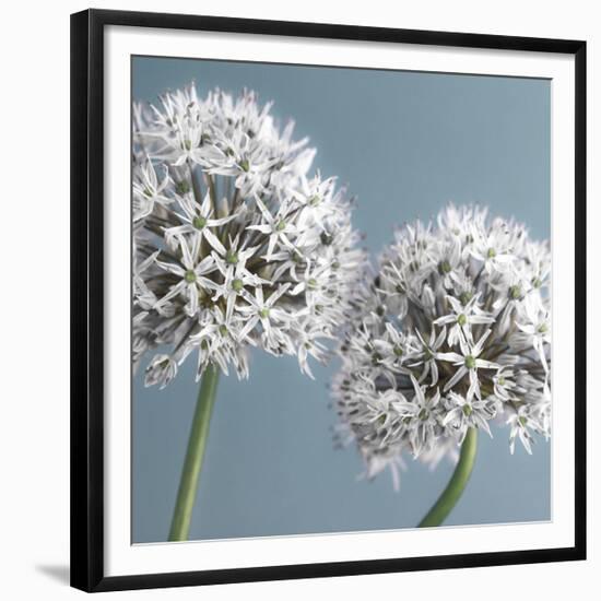 Bliss II-Assaf Frank-Framed Giclee Print