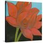 Bliss Lotus I-Jodi Fuchs-Stretched Canvas