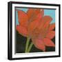 Bliss Lotus I-Jodi Fuchs-Framed Art Print