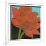 Bliss Lotus I-Jodi Fuchs-Framed Art Print