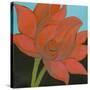 Bliss Lotus I-Jodi Fuchs-Stretched Canvas