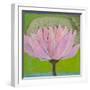 Bliss Lotus II-Jodi Fuchs-Framed Art Print