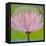 Bliss Lotus II-Jodi Fuchs-Framed Stretched Canvas