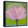 Bliss Lotus II-Jodi Fuchs-Framed Stretched Canvas