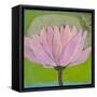 Bliss Lotus II-Jodi Fuchs-Framed Stretched Canvas