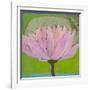 Bliss Lotus II-Jodi Fuchs-Framed Art Print