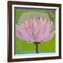 Bliss Lotus II-Jodi Fuchs-Framed Art Print