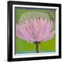 Bliss Lotus II-Jodi Fuchs-Framed Art Print