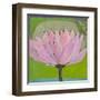 Bliss Lotus II-Jodi Fuchs-Framed Art Print