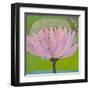 Bliss Lotus II-Jodi Fuchs-Framed Art Print