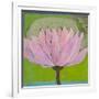 Bliss Lotus II-Jodi Fuchs-Framed Art Print