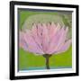 Bliss Lotus II-Jodi Fuchs-Framed Art Print