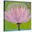 Bliss Lotus II-Jodi Fuchs-Stretched Canvas