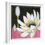 Bliss Lotus III-Jodi Fuchs-Framed Art Print