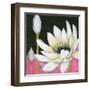 Bliss Lotus III-Jodi Fuchs-Framed Art Print