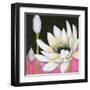 Bliss Lotus III-Jodi Fuchs-Framed Art Print