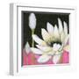 Bliss Lotus III-Jodi Fuchs-Framed Art Print