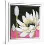 Bliss Lotus III-Jodi Fuchs-Framed Art Print