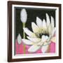 Bliss Lotus III-Jodi Fuchs-Framed Art Print