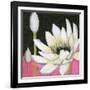 Bliss Lotus III-Jodi Fuchs-Framed Art Print