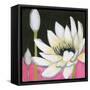 Bliss Lotus III-Jodi Fuchs-Framed Stretched Canvas