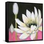 Bliss Lotus III-Jodi Fuchs-Framed Stretched Canvas