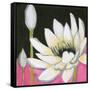 Bliss Lotus III-Jodi Fuchs-Framed Stretched Canvas