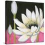 Bliss Lotus III-Jodi Fuchs-Stretched Canvas