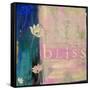 Bliss Variation-Jodi Fuchs-Framed Stretched Canvas