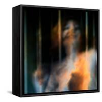 Bliss-Gideon Ansell-Framed Stretched Canvas