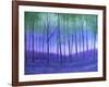 Bliss-Herb Dickinson-Framed Photographic Print