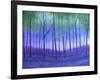 Bliss-Herb Dickinson-Framed Photographic Print