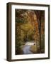 Bliss-Jai Johnson-Framed Giclee Print