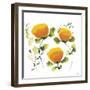 Blissful Blooms III-Jean Picton-Framed Giclee Print